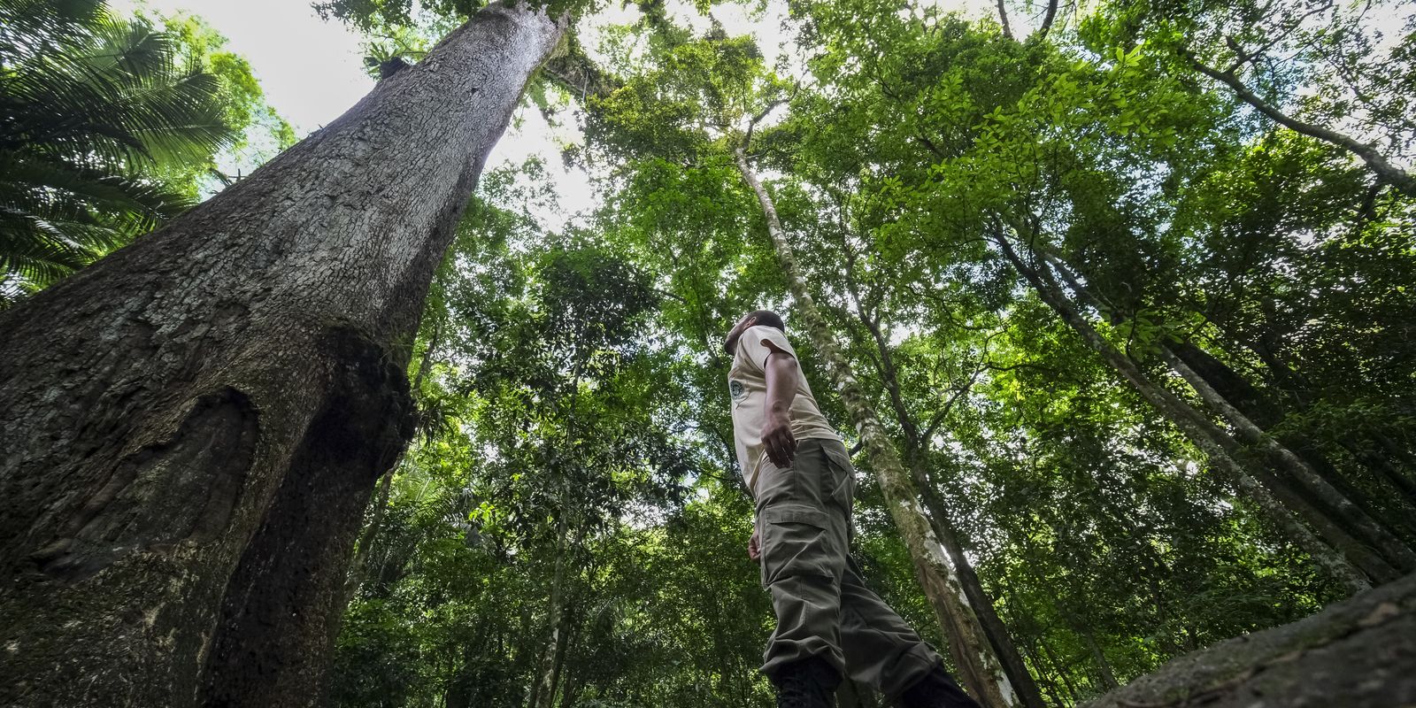 cop30:-brasil-lanca-carta-com-30-objetivos-para-protecao-do-clima