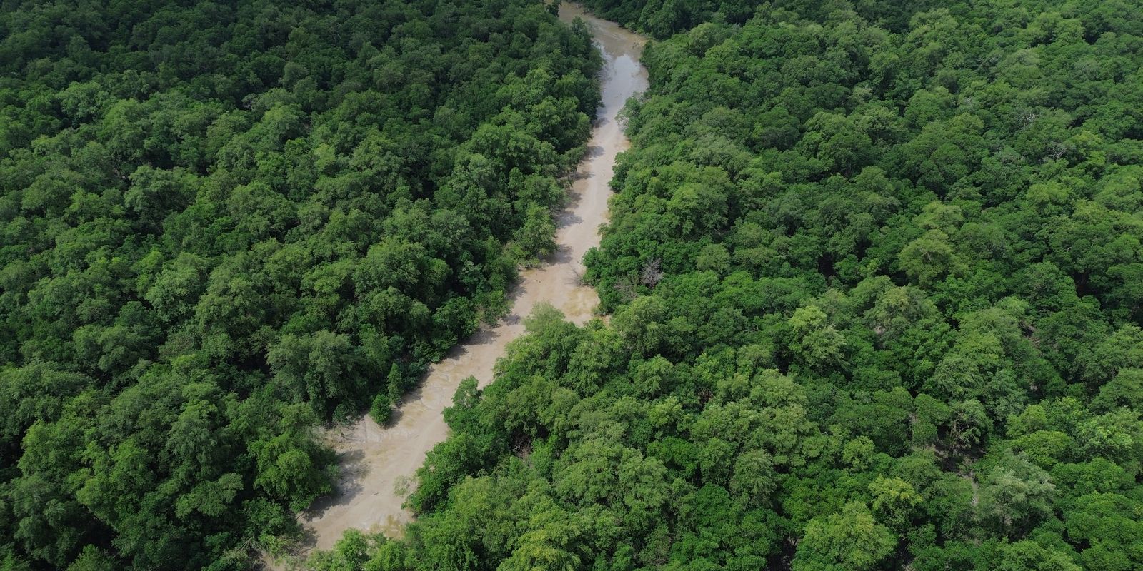tratado-de-cooperacao-amazonica-reforca-compromissos-da-cop-30
