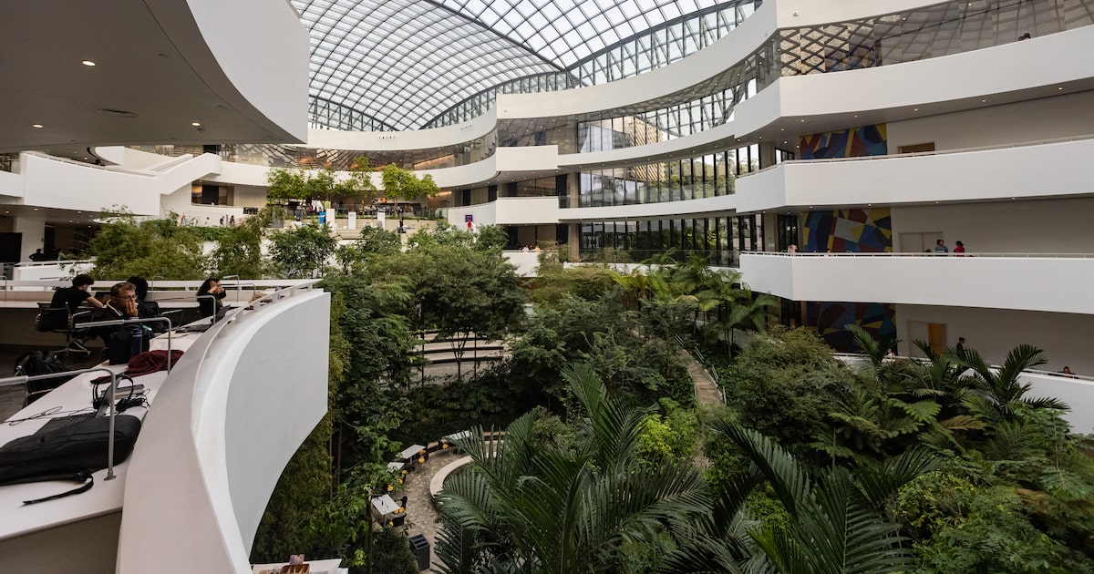 enamed:-so-7-cursos-de-medicina-de-universidades-privadas-tem-nota-maxima;-veja-quais-sao