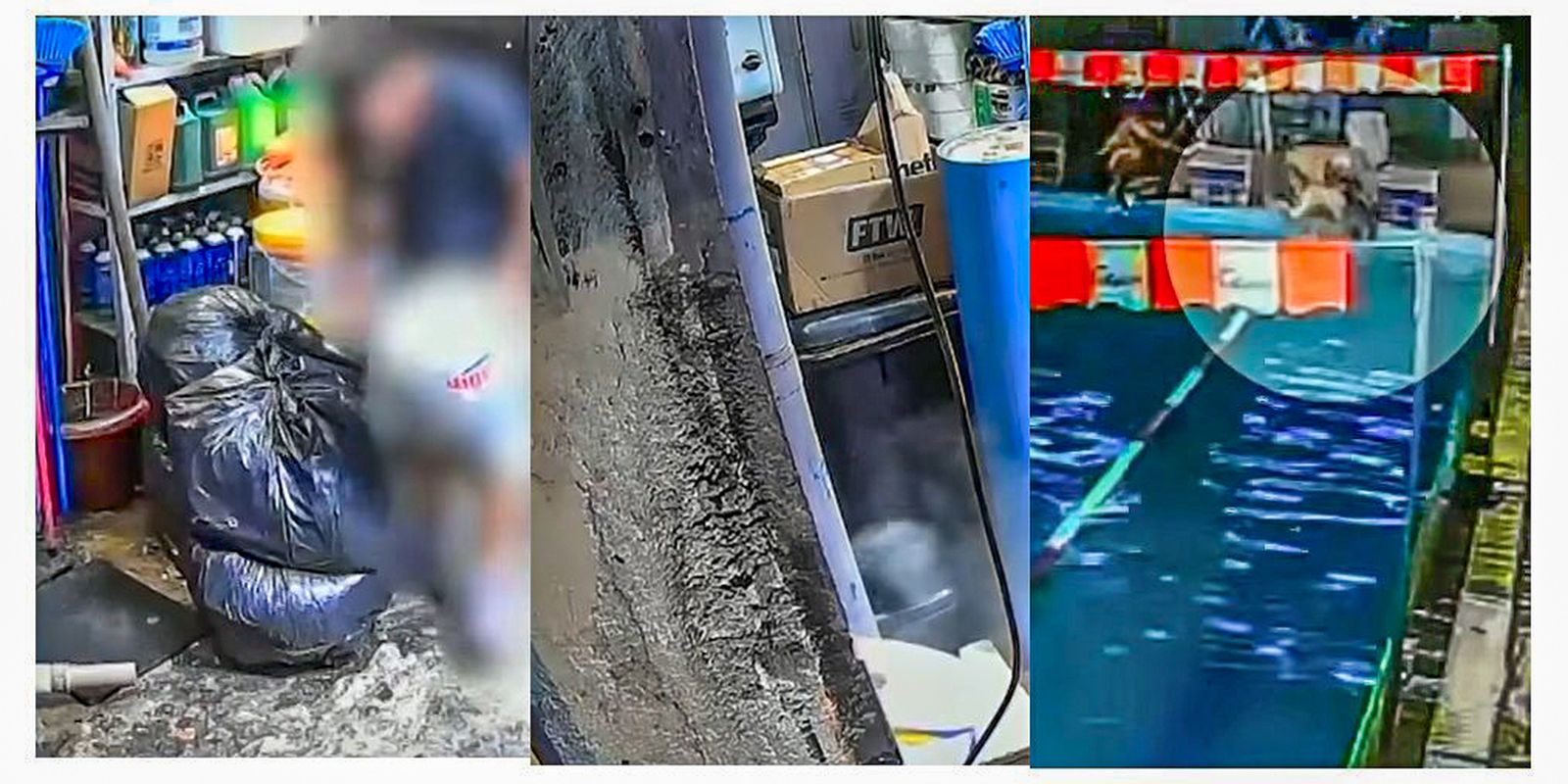 sp:-policia-indicia-3-socios-de-academia-da-zona-leste-por-homicidio