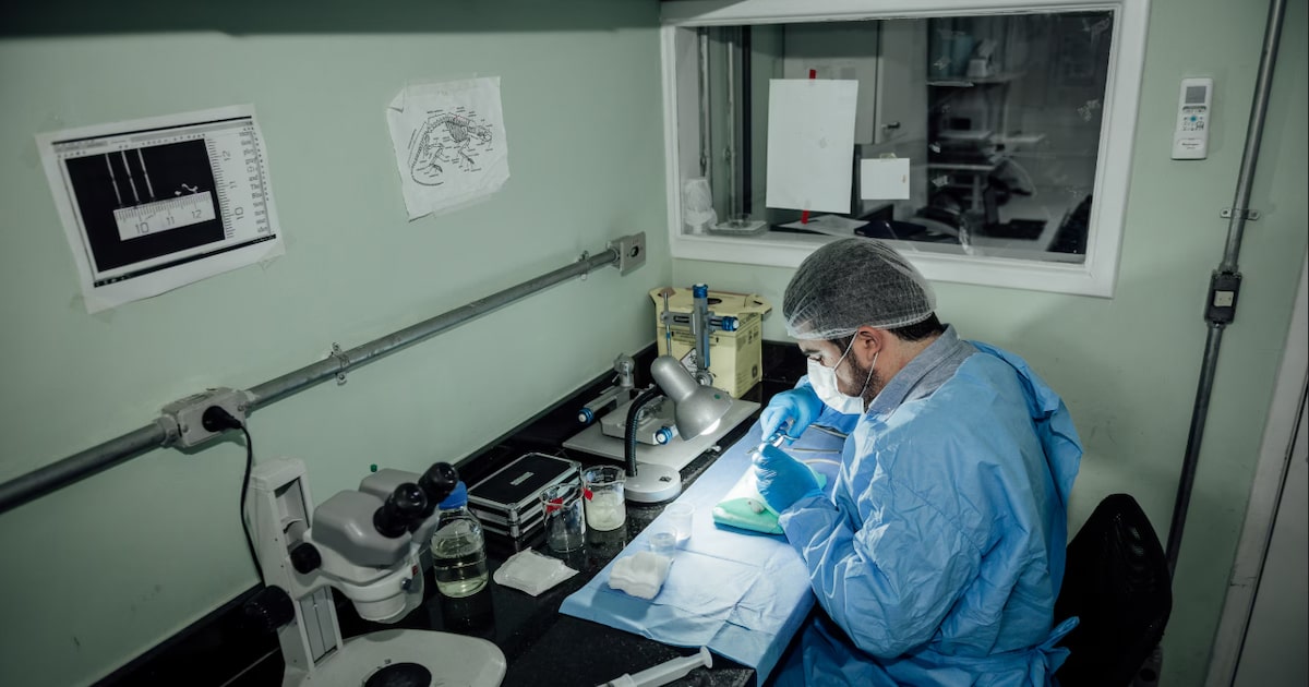 camara-aprova-projeto-que-preve-aposentadoria-para-pesquisadores;-entenda