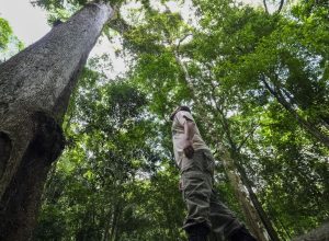 cop30:-brasil-lanca-carta-com-30-objetivos-para-protecao-do-clima