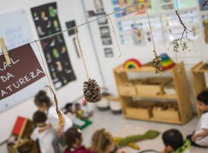 alfabetizacao:-resultado-da-cidade-de-sp-e-o-17o-entre-as-capitais;-estado-e-o-13o