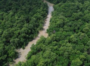 tratado-de-cooperacao-amazonica-reforca-compromissos-da-cop-30