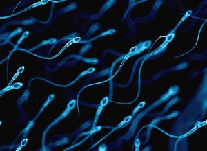 espermatozoides-acumulam-alteracoes-ligadas-a-doencas-em-filhos-de-pais-mais-velhos