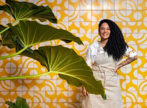 julia-almeida,-do-terra-nova-brasilia,-e-a-chef-revelacao-de-2025