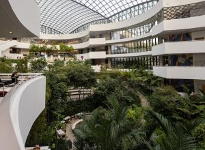 enamed:-so-7-cursos-de-medicina-de-universidades-privadas-tem-nota-maxima;-veja-quais-sao