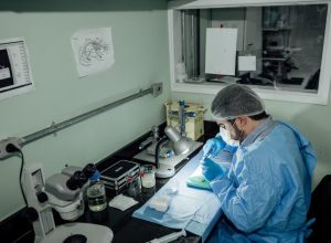 camara-aprova-projeto-que-preve-aposentadoria-para-pesquisadores;-entenda