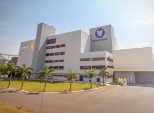 moinho-globo-preve-ano-dificil-e-conservador-para-setor-de-trigo