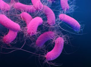 pseudomonas-aeruginosa:-cientista-explica-quem-e-a-bacteria-que-contaminou-agua-crystal-e-produtos-da-ype