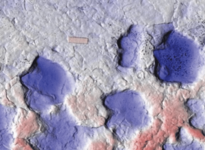 pegada-de-3-dedos-no-canada-revela-novo-dinossauro-da-familia-anquilossaurideos