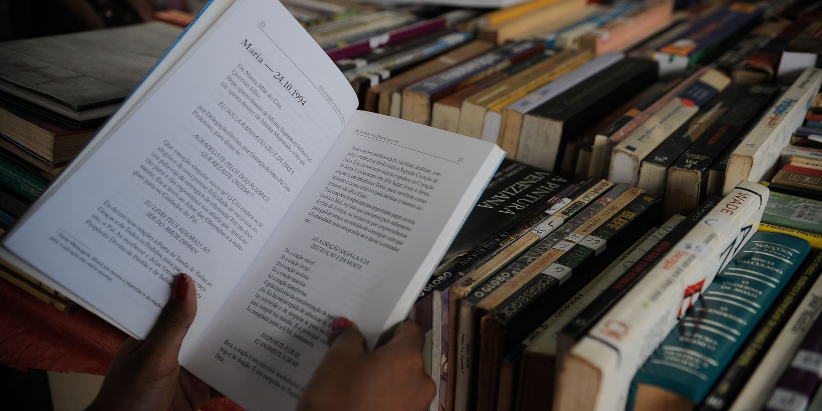 festival-de-literatura-de-pocos-de-caldas-tera-biografias-como-tema