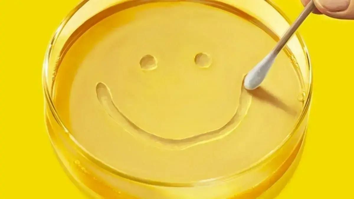 “pluribus”:-diretora-brasileira-detalha-nova-producao-de-vince-gilligan