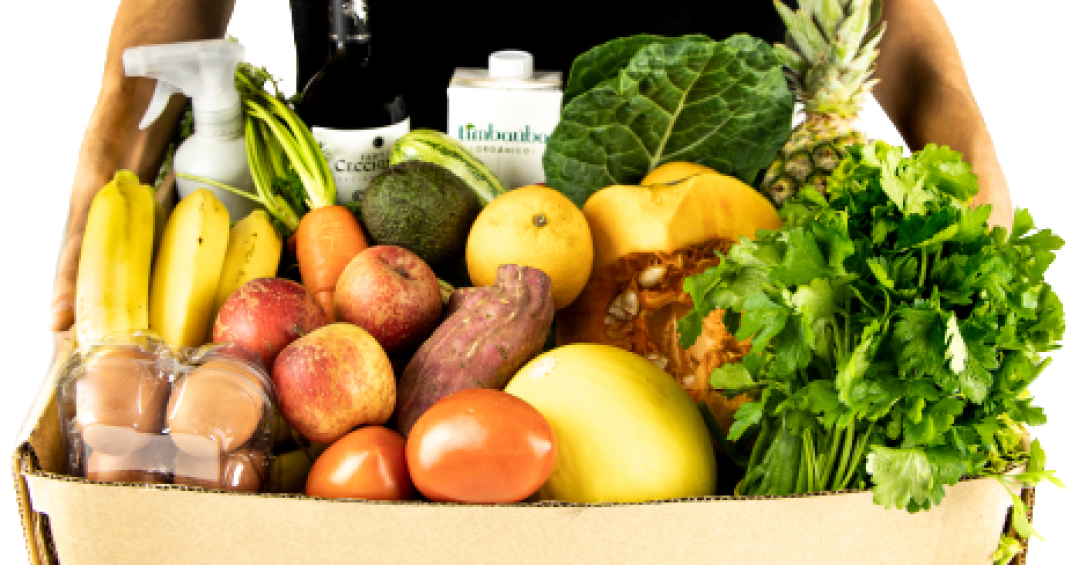 uma-dieta-saudavel-e-acessivel?-veja-o-que-dizem-os-numeros