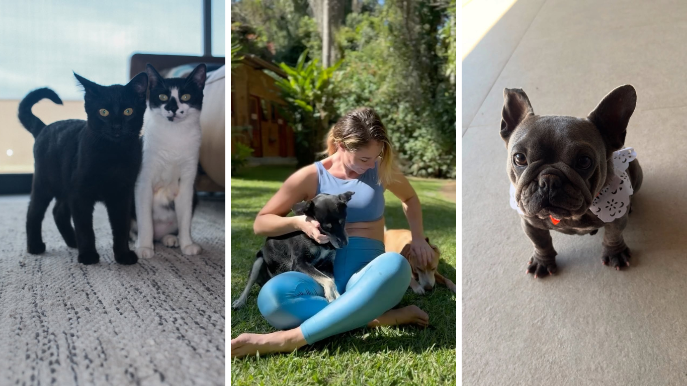 paolla-oliveira-brinca-ao-lado-dos-pets-em-novos-registros;-veja