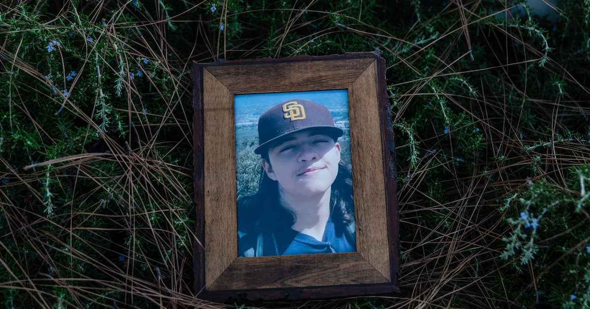 mae-processa-jogo-roblox-apos-filho-autista-cometer-suicidio