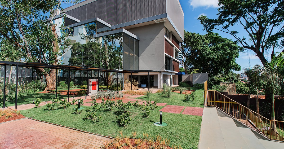 eleva,-avenues,-beacon-school:-escolas-internacionais-e-bilingues-de-sp-apostam-em-obras-para-2026