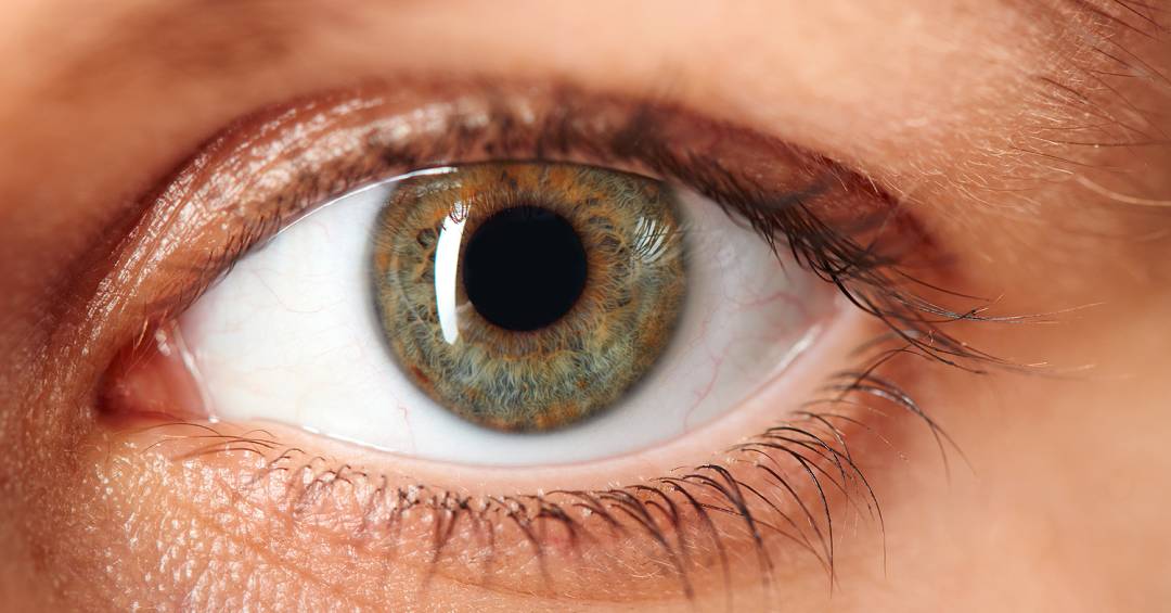 nova-pesquisa-investiga-efeitos-na-visao-em-intoxicacao-por-metanol