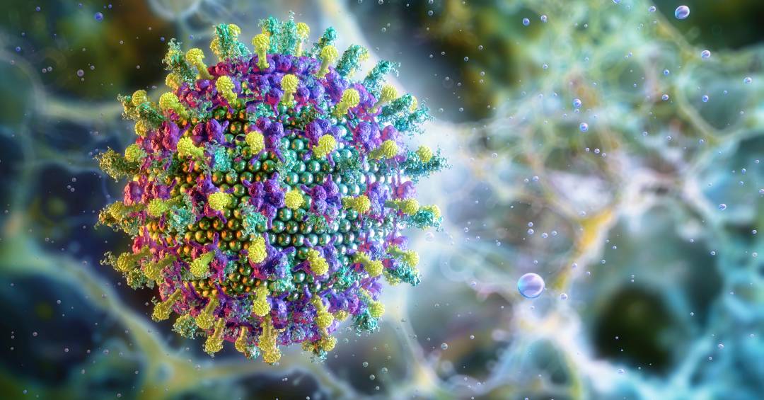 virus-nipah:-novo-caso,-que-resultou-em-morte,-e-registrado-em-bangladesh