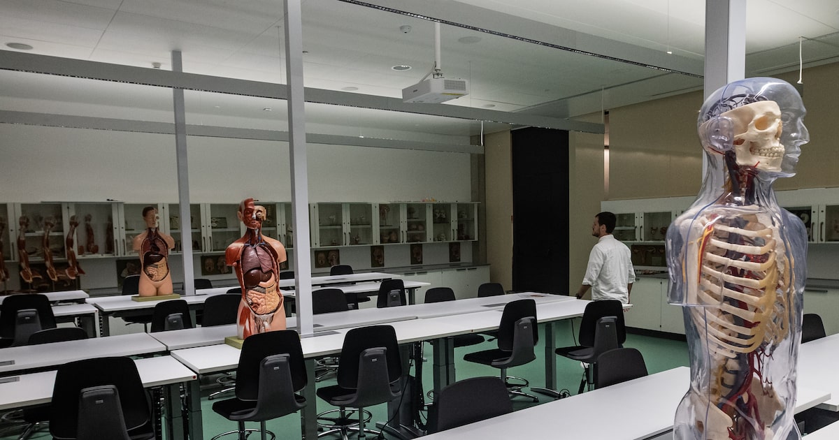 ia,-redes-neurais-e-big-data:-como-‘medicina-do-amanha’-deve-ser-aprendida-pelos-futuros-medicos