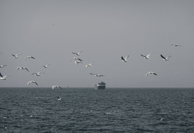 guerra-contra-ira-ameaca-atingir-de-forma-prolongada-os-mercados-globais-de-energia