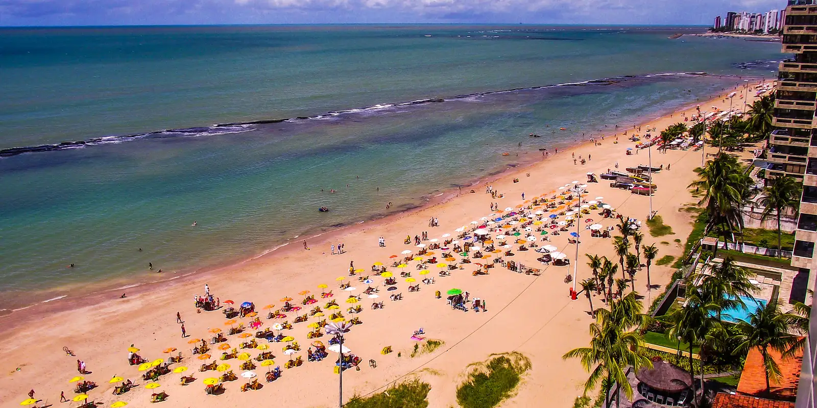 pernambuco-volta-a-monitorar-tubaroes-na-orla-apos-10-anos